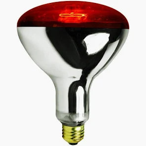250R40/10 250W RED HEAT LAMP