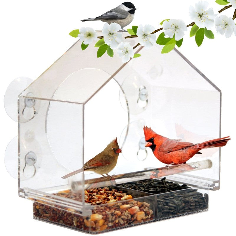 WINDOW BIRD FEEDER