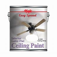 8-1001 CEILING PAINT GAL
