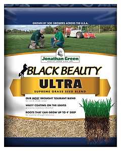 BLACK BEAUTY ULTRA GASS SEED