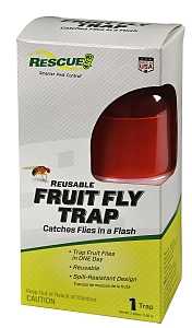 FRUIT FLY TRAP