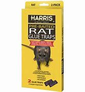 HRG-2 GLUE TRAP RAT 2PK