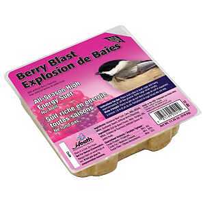 SUET CAKE, ALL-SEASON, BERRY