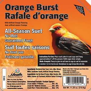 SUET CAKE, ALL-SEASON, ORANG